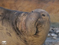 /album/photogallery/wallpaper-large2-jpg/